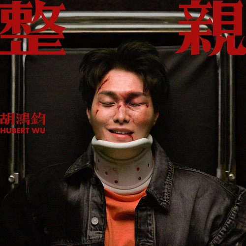 整亲 - Single - 胡鸿钧-无损音乐下载