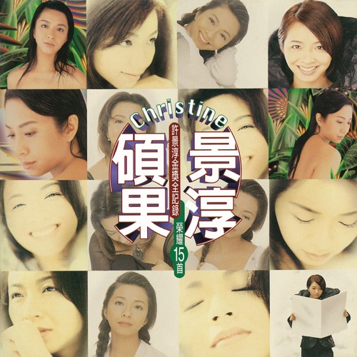 硕果景淳 - 许景淳-无损音乐下载