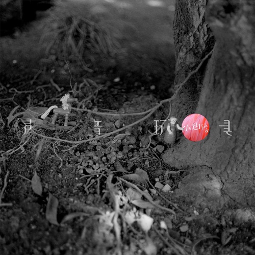 小翅膀 - Single - 声音玩具-无损音乐下载