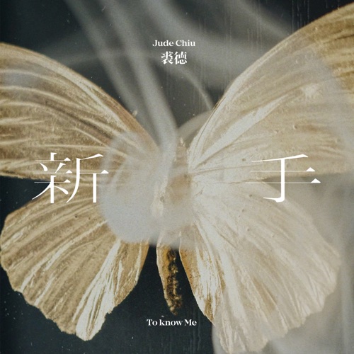 新手 - Single - 裘德-无损音乐下载