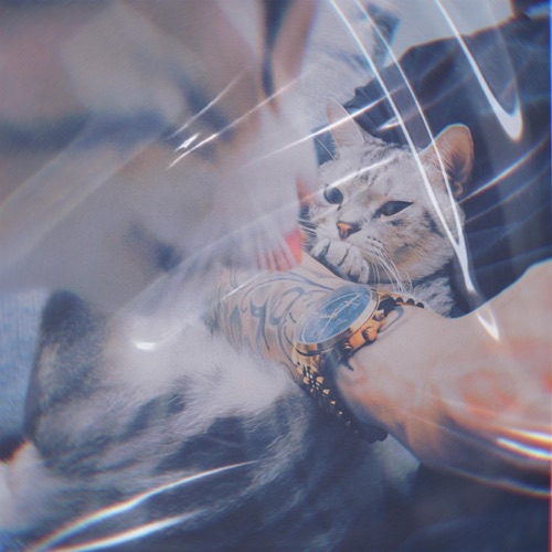 破例 - Single - TIGO-无损音乐下载