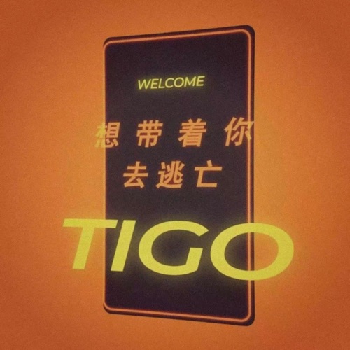 想带着你去逃亡 - Single - TIGO-无损音乐下载