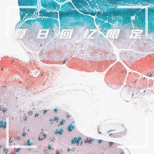 夏日回忆限定 - Single - TIGO-无损音乐下载