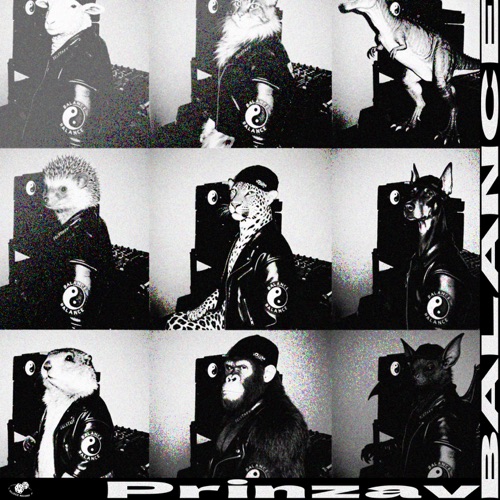 都想懂 (feat. step.jad依加) - Single - 单单Prinzav-无损音乐下载