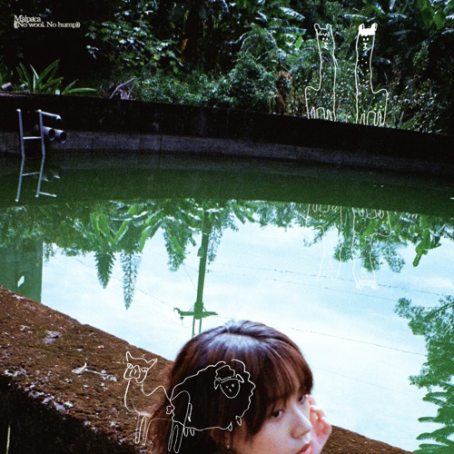 ((No wool. No hump)) - 羊驼小姐-无损音乐下载