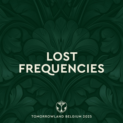 Tomorrowland比利时2025：主舞台丢失频率，周末1 （DJ混音） - Lost Frequencies-无损音乐下载