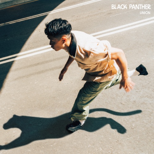 Black Panther - Single - LINION-无损音乐下载