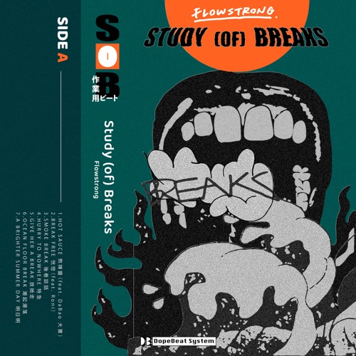Study (of) Breaks – Flowstrong-无损音乐下载
