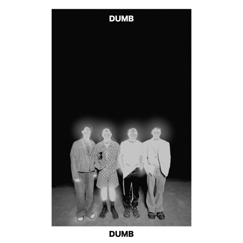 Dumb - Single - 傻子与白痴-无损音乐下载