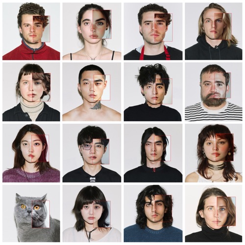 一半 - Single - 傻子与白痴-无损音乐下载