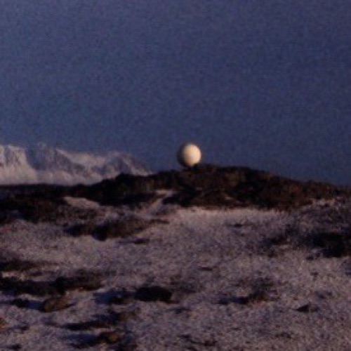 Moons – Single – 野巢Nosu-无损音乐下载