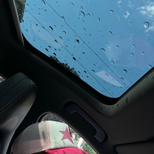 große scheine, große taschen - Single - Dante YN-无损音乐下载