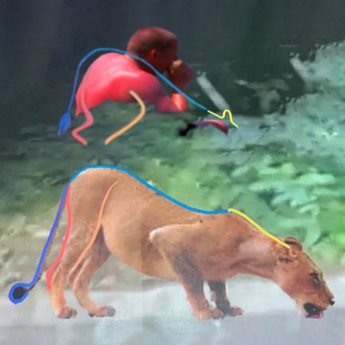 Löwe von Kleinmachnow - Single - PA69-无损音乐下载