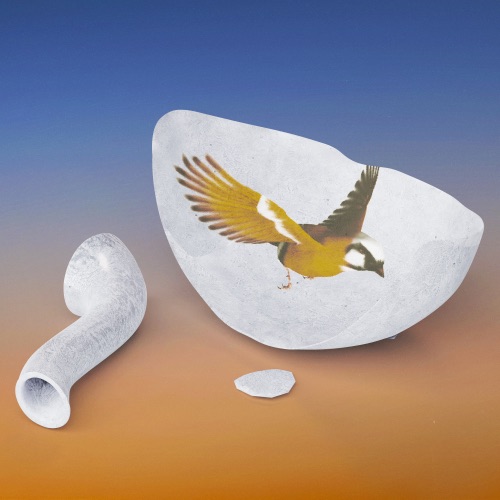 MAL HIER MAL DA – Single – Ataypapi-无损音乐下载