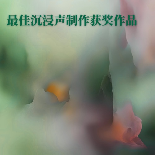 Best Immersive Audio Production - Peter Gabriel-无损音乐下载