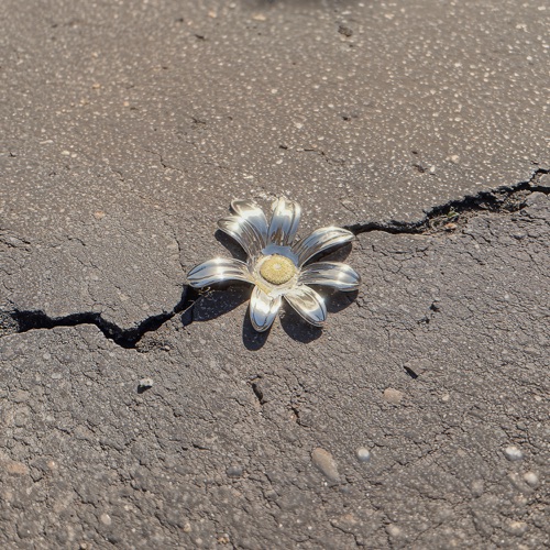 路边的野花 - Single - 胡恂舞-无损音乐下载