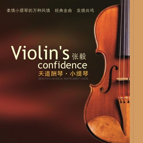 天道酬琴 - 张毅 [6.1声道]-无损音乐下载