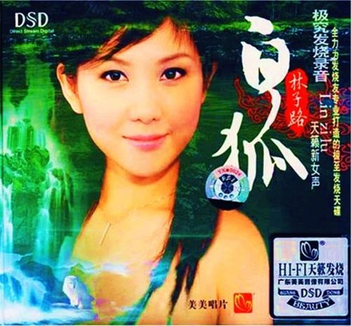 白狐 - 林子路 [6.1声道]-无损音乐下载