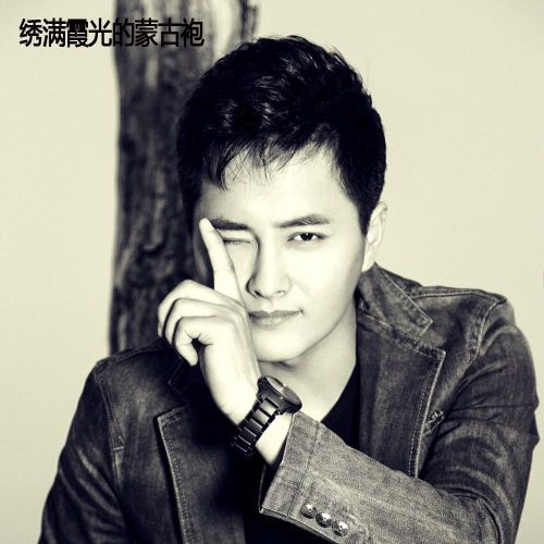 绣满霞光的蒙古袍 - 云飞 [6.1声道]-无损音乐下载