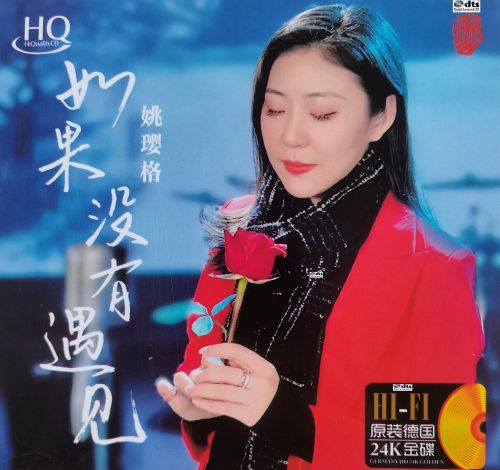 如果没有遇见 - 姚璎格 [5.1声道]-无损音乐下载