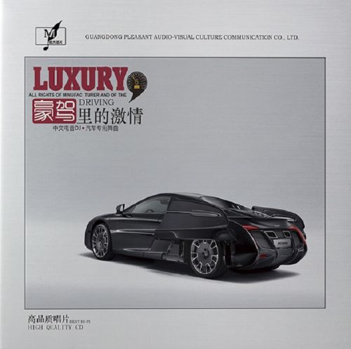 豪驾里的激情 中文电音DJ  - 祁隆 [6.1声道]-无损音乐下载