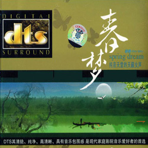 春梦 - 婷婷 [5.1声道]-无损音乐下载