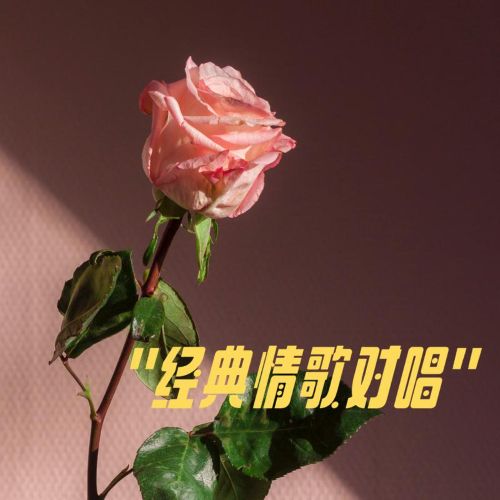 经典歌对唱 - 群星 [5.1声道]-无损音乐下载