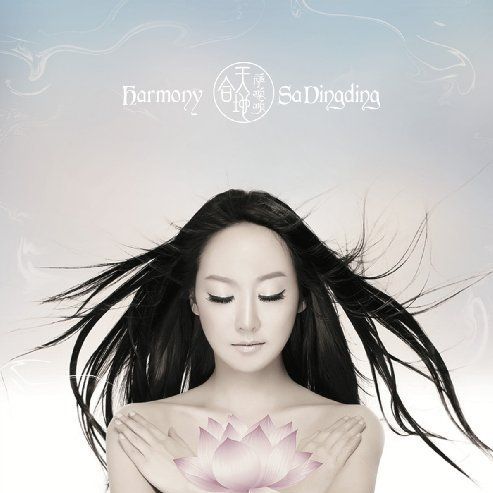 天地合 - 萨顶顶 [5.1声道]-无损音乐下载