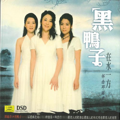 在水一方 - 黑鸭子 [5.1声道]-无损音乐下载