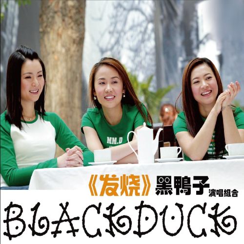 黑鸭子发烧碟 DTS - 黑鸭子演唱组 [5.1声道]-无损音乐下载