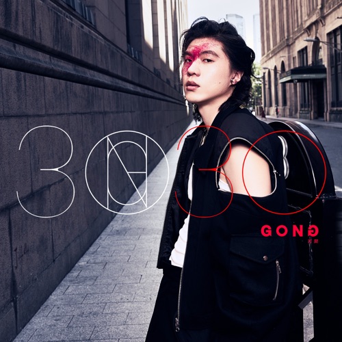 3030 - 宫阁-无损音乐下载