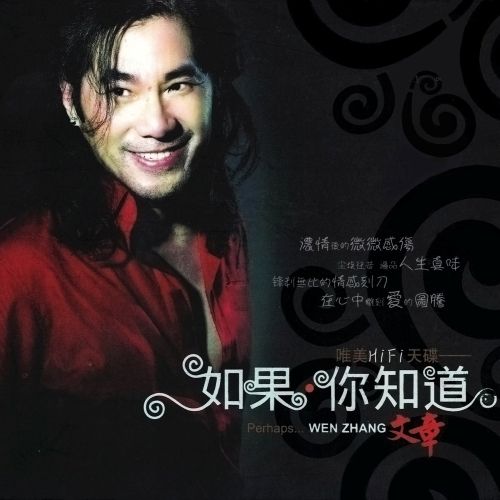 如果你知道 - 文章 [5.1声道]-无损音乐下载