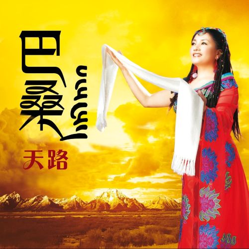 天路 - 巴桑 [5.1声道]-无损音乐下载