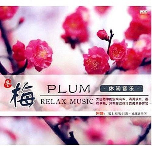 休闲音乐·梅 - 群星 [5.1声道]-无损音乐下载