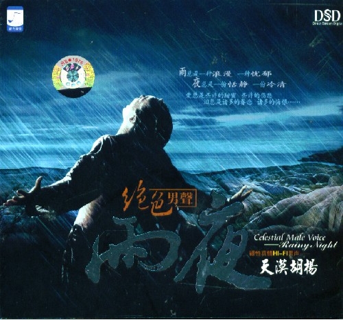 雨夜 - 天漠胡杨 [6.1声道]-无损音乐下载