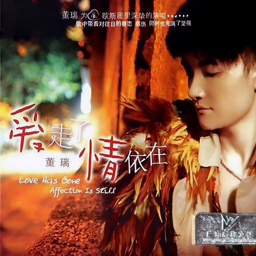 爱走了情依在 - 董瑞 [5.1声道]-无损音乐下载