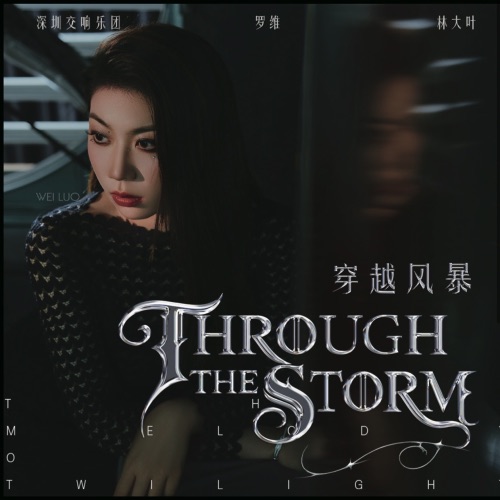 穿越风暴 - 罗维, 林大叶 & 深圳交响乐团-无损音乐下载