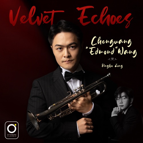 天鹅绒回声 - Edmond Wang 王辰光 & Jingbo Zong 宗敬博-无损音乐下载