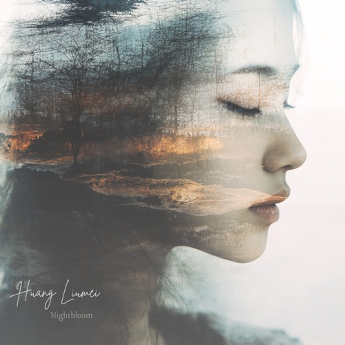 夜花- EP - Huang Liumei-无损音乐下载
