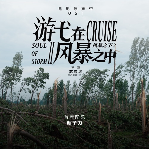 《游弋在风暴之中》原声专辑 – 颜子力-无损音乐下载