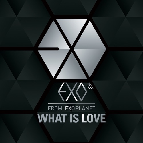 What Is Love (Chinese Version) - Single - EXO-M-无损音乐下载