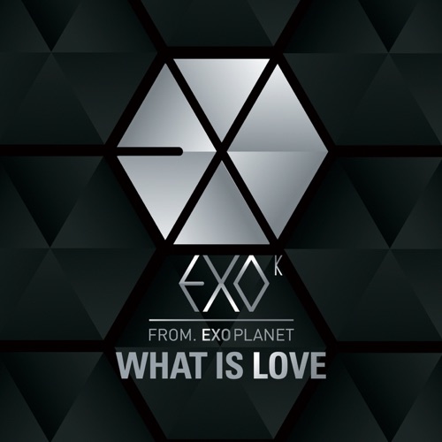 What Is Love (Korean Version) - Single - EXO-K-无损音乐下载