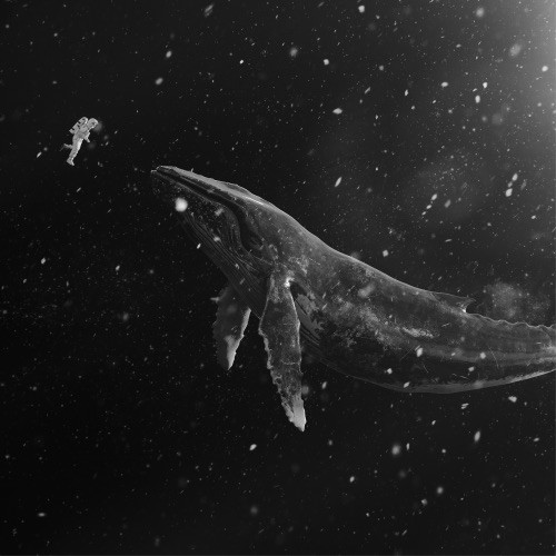 SING FOR YOU – Winter Special Album, 2015 – EXO-无损音乐下载