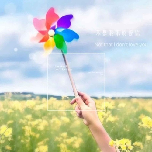 不是我不够爱你 - Single - 洛天依-无损音乐下载