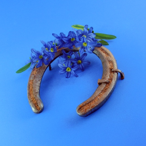 下等马 - Single - ChiliChill & 洛天依-无损音乐下载