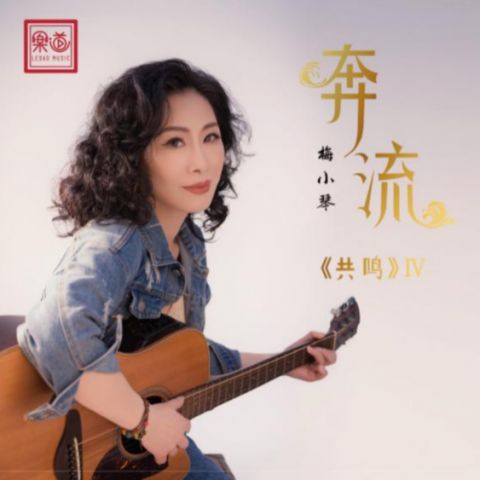 奔流 - 梅小琴-无损音乐下载