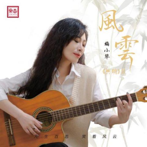 風雲 - 梅小琴-无损音乐下载