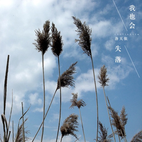 我也会失落 - Single - 洛天依-无损音乐下载
