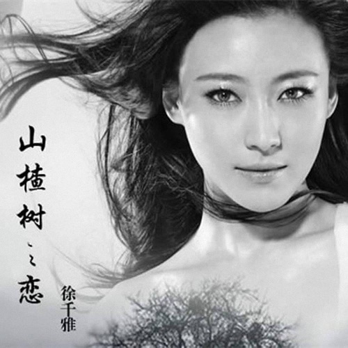 山楂树之恋 - Single - 徐千雅-无损音乐下载