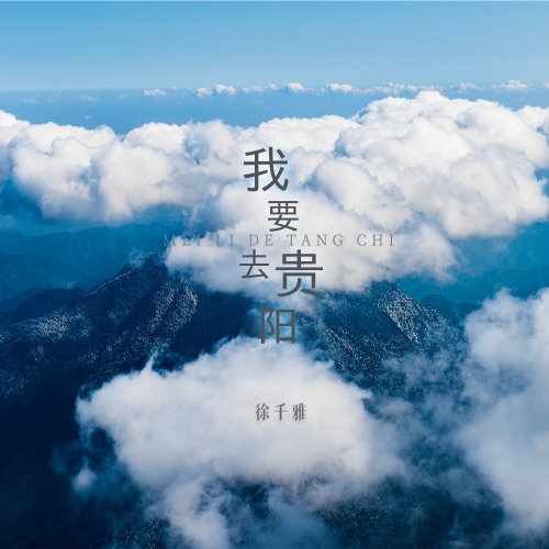 我要去贵阳 - Single - 徐千雅-无损音乐下载